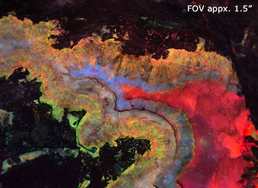 Fluorescent Willemite and Calcite - Shortwave UV - Puttapa Zinc Mine, Australia