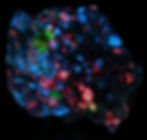 Fantasy Rock - Tugtupite