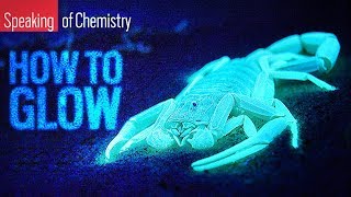 What’s the Difference Between Fluorescence and Bioluminescence?